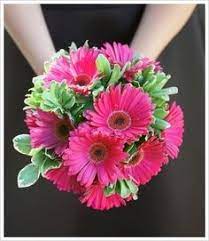 I had the privilege of creating a bridal bouquet for an intimate wedding at one of our local parks a few. 34 Gerbera Daisy Bouquets Ideas Gerbera Daisy Gerbera Daisy Bouquet