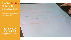 Analisa budidaya lele 1000 ekor ini menunjukan bahwa keuntungan bisnis lele masih menggiurkan dan masih digeluti banyak orang. Analisa Usaha Untung Rugi Budidaya Lele Penting Youtube