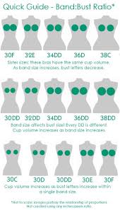 a helpful chart for bra sizes in 2019 fashion bra sizes