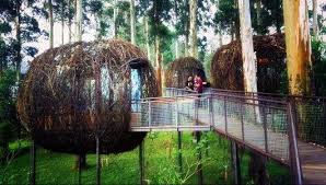 Biasanya kalau dipegang, tangan kita akan mengakibatkan gatal. Dusun Bambu Address Jl Kolonel Masturi Km 11 Cisarua Bandung Barat Phone 022 82782020 Foto Wisata Pemandangan Liburan