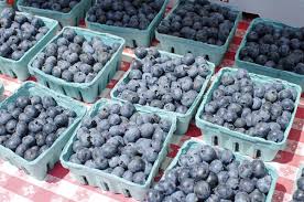 We did not find results for: Ushbc To Focus On Expanding Overseas Demand For Us Blueberries In 2021