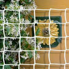 Check spelling or type a new query. Climbing Plant Support Mesh Plastic Garden Net Clematis Bean Trellis White 1mx5m For Sale Online Ebay