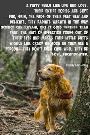 Dog Quotes Puppy Love Dog Dog Quotes Puppies Puppy Quotes