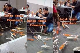 Cekidot | #tiktokindonesia,tiktok viral fyp,tiktok viral,fyp. Bukan Main Viral Warung Tawarkan Makan Rujak Bareng Ikan Koi Tuai Komentar Kocak