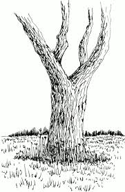 Learn how to draw a tree with pen and ink in this lesson. Pin On Drawing