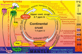 Like other heavy metals, uranium is toxic and should not be what are the steps before uranium ore concentrate can be used in a nuclear reactor? Geology Of Uranium Deposits Sciencedirect