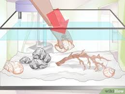 I visited my friend last week, and i noticed that he had a large fish tank and quite a few fish swimming in it, but not only was the tank plain and boring, it fish are known to have lower stress levels and show better health if their tank is clean and well decorated. 11 Ways To Decorate A Fish Tank Wikihow