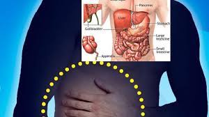 Ladies, waspadai 7 penyakit yang lebih. Waspada Nyeri Perut Sebelah Kanan Atas Atau Bawah Ini Resiko Penyakitnya Sriwijaya Post