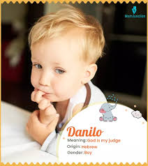 Danilo Name Meaning, Origin, History, And Popularity