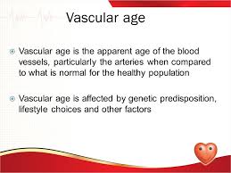 Module 3 Chapter 1d Module 3 Chapter 1d Vascular Aging