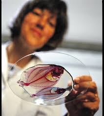 Enid Robbins's Instagram, Twitter & Facebook