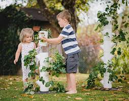 Google has many special features to help you find exactly what you're looking for. The Cindy Margurita Strawberry And Basal Sissi Strawberry Erdbeerturm Classic Weiss 6 Etagen Erdbeerturme Von Gusta Garden Samenhaus Samen Samereien