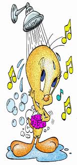 Bird Bird Bird Is The Word Gif Https Encrypted Tbn0 Gstatic Com Images Q Tbn 3aand9gcqg2csklkhsf3wunt0xe3ofzjs1j0ohglol0w Usqp Cau