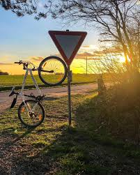 New The 10 All Time Best Home Decor In The World Bike Fahrrad Sun Sonnenuntergang Road Strasse Techkind Re Bike Tour Outdoor Decor All About Time
