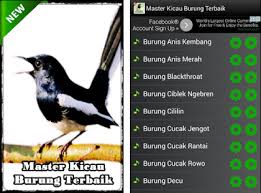Burung decu kembang little pied flycatcher is a species of bird in the family muscicapidae. Kumpulan Suara Burung Terbaik Apk Download For Android Latest Version 3 0 Masterkicauburungterbaik Pakikisev