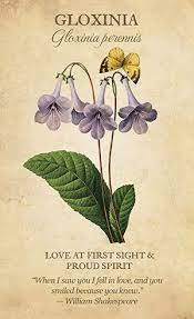 Bic44 Deck4 Jpg 300 491 Language Of Flowers Flower Meanings Botanical Flowers
