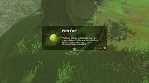 Recipes Zelda Breath Of The Wild Stamina Blog Pendidikan