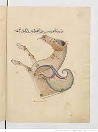 عبد الرحمن بن عمر الصوفي كتاب صور الكواكب الثابتة bnf manuscrit