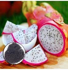 Professional growers sell dragon fruit plants that are ready to be transplanted to your garden. Egrow 50 Pcs Pack Pitaya Seeds Red White Dragon Fruit Tree Seed For Outdoor Courtyard Plants