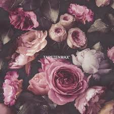 opus grandeco vliestapete tapeten nr os3008 in den farben rosa rose schwarz anthrazit jetzt bei tapete rosa tapete vintage blumen wallpaper papierwande