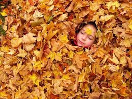 نتیجه تصویری برای برگ ریزان پاییزی