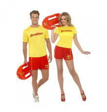 Lorsqu'un as du déguisement s'échappe d'un hôpital psychiatrique pour se venger de stephanie et logan, les gardes de malibu sont en alerte. Deguisement