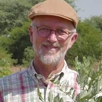 PDF) How effective are 'Effective microorganisms® (EM)'? Results from a  field study in temperate climate