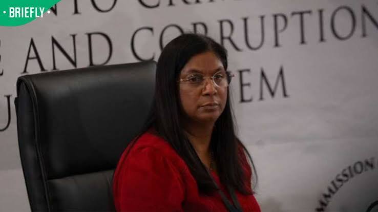 Andrea Johnson Faces Perjury Calls After Contradicting Ad Hoc Committee Testimony - Briefly.co.za