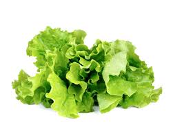 Lettuce is generally a rich source of vitamins k and a, though the nutritional quality varies, depending on the variety. Green Lettuce Plant Pods Click Grow