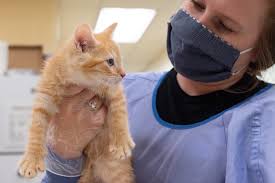 All animals from our pound are adopted through the state's animal population control program (apcp). Animal Refuge League Of Greater Portland Home Facebook