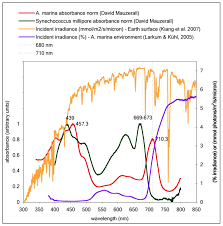 NASA Astrobiology Institute