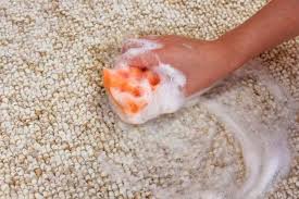 We did not find results for: 6 Super Fast Ways To Get Coffee Stains Out Of Carpet