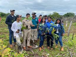 Jornada de reforestaciòn realiza el MIDA, en IPT de San Lorenzo