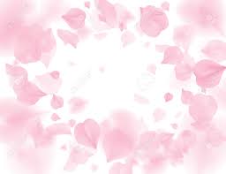 Maybe you would like to learn more about one of these? Pink Sakura Petals Falling Flower Vector Background Romantic Royalty Free Cliparts Vectors And Stock Illustration Image 125835552