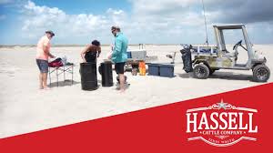 See 799 unbiased reviews of i have eaten at the texas cattle company several times over the years. Media Hassell Cattle Company