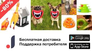 vot kak vychistit sosudy ot holesterina za 40 dnej bez edinogo lekarstva detskie osennie podelki delat dengi otbelivanie zubov