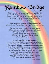 Ponte veccio in florence is a medieval b. Free Printable Rainbow Bridge Poem Google Search Rainbow Bridge Poem Rainbow Bridge Dog Rainbow Bridge