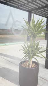 Wedding Day 🖤🤍🥂