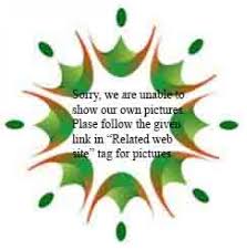 Image result for Psilotrichum