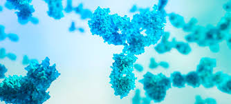 Por eso, cada vez queda. Que Es Un Anticuerpo Monoclonal