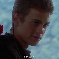 Adam Prows (@adamprows)