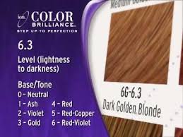 The brand has provided the ion brilliance hair color chart. Ion Color Brilliance Can Be Purchased At Sally Beauty Supply And At Sallybeauty Com Http Www Sallybeauty Com Hai Ion Color Brilliance Liquid Hair Hair Chart