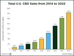 Everything You Could Ever Need To Know About The Cbd