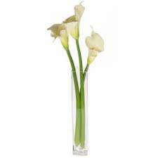 Santa barbara floral artistry has a large selection of gorgeous floral arrangements and bouquets. Santa Barbara Timeless Beauty Display Flower Delivery Timeless Beauty Display Flower Delivery Santa Barbara Online Florist Santa Barbara