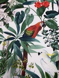 mooi papegaaien behang kleur en print out niet helemaal overheen met de soort uit het boek vandaar de prijs behang kleuren prints