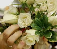 Maybe you would like to learn more about one of these? Ruth Messmer Florist A Family Affair Fort Myers Florida Weekly