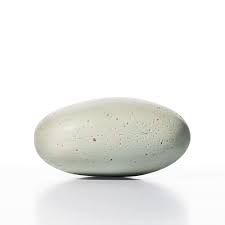 نتیجه جستجوی لغت [solidified] در گوگل