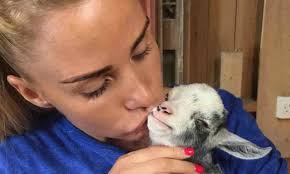 Katie Price Instagrams her kissing new pet baby goat | Daily Mail Online