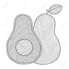 You can teach your kids about letter a for avocado using this coloring book. Line Art Avocado Drawing For Printing On Stuffs And Adult Coloring Book Or Coloring Page Lizenzfrei Nutzbare Vektorgrafiken Clip Arts Illustrationen Image 145381014