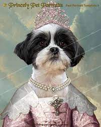 Check spelling or type a new query. Funny Pet Portraits Etsy The Y Guide